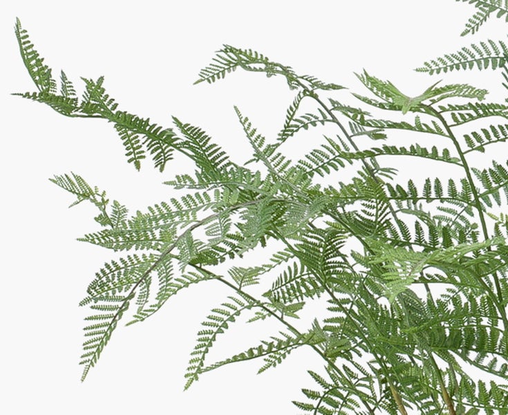 Künstliche Monstera Pflanze mit großen grünen Blättern und charakteristischen Blatteinschnitten.