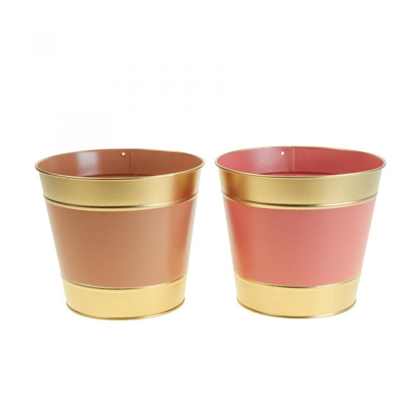 Zwei Pflanzgefäße mit goldfarbenen Akzenten