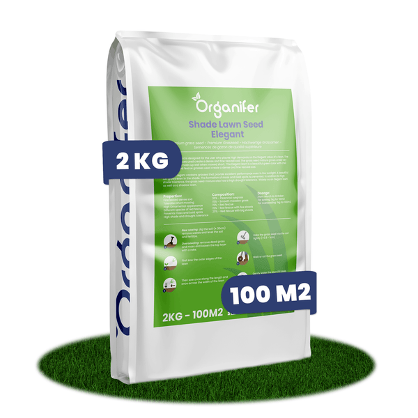Organifer Rasensamen Schattenrasen Elegant im 2 Kilogramm Sack für 100 Quadratmeter.