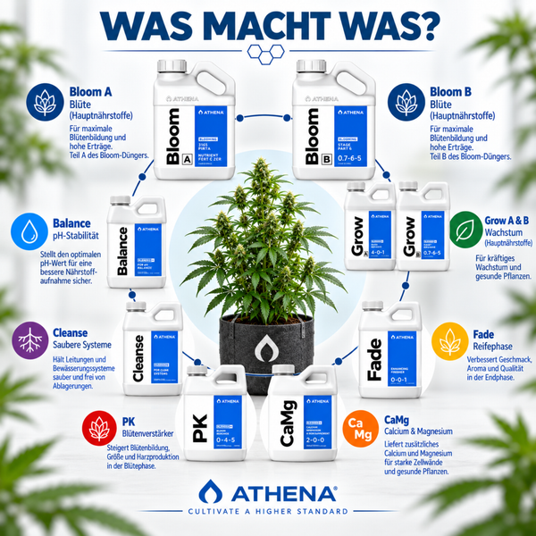 Infografik zum Athena Pflanzennährstoffsystem mit abgebildeten Düngerflaschen und einer Pflanze in einem Textiltopf.