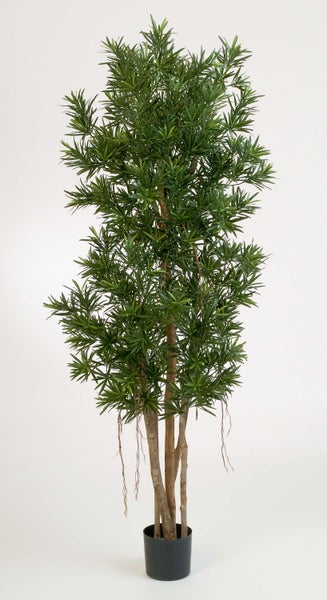 Künstlicher Podocarpus im schwarzen Topf mit dichten grünen Blättern und mehreren Stämmen.