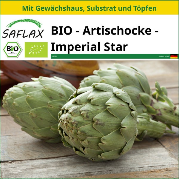 SAFLAX Anzucht Set - BIO - Artischocke - Imperial Star - Cynara scolymus - 5 Samen - Mit Mini-Gewächshaus, Anzuchtsubstrat und 2 Töpfen