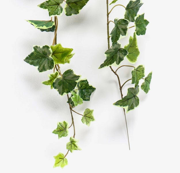 Künstlicher Efeu mit weiß-grünen Blättern an zwei herabhängenden Ranken.
