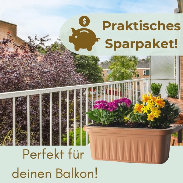 Balkonszene mit einem bepflanzten Blumenkasten auf einem Balkon