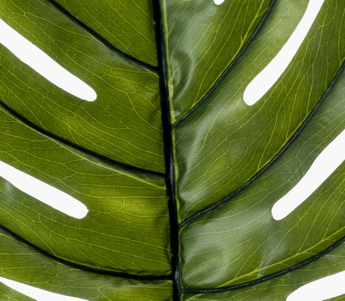 Grünes künstliches Fensterblatt Monstera Blatt mit ausgeprägter Blattstruktur.