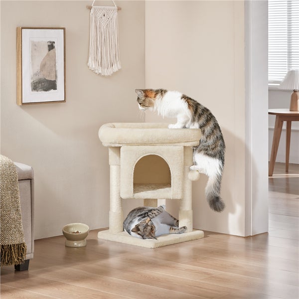 Katzenkratzbaum mit zwei Katzen in einem hellen Raum