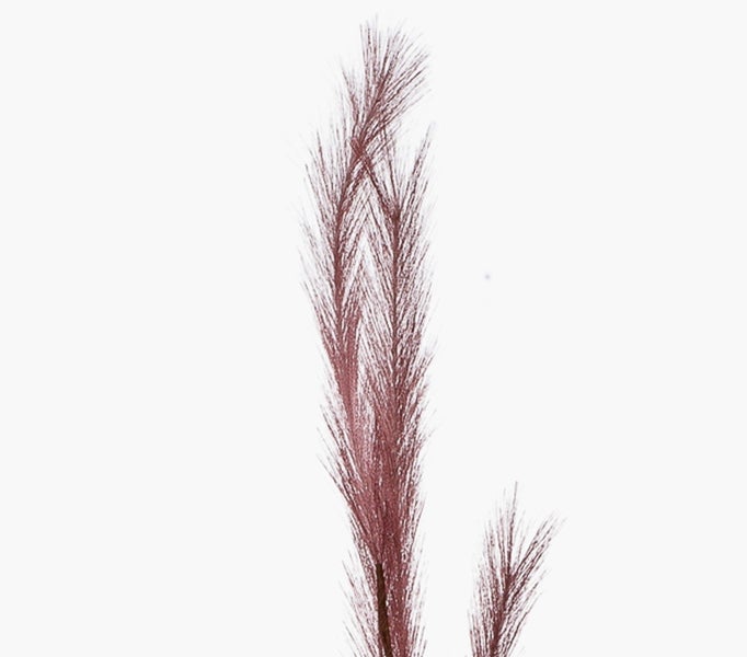 Künstlicher Pampasgraswedel in Braun, dekorativer Zweig mit weichen Fasern.