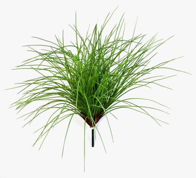 Künstliche Hängepflanze mit langen grünen Trieben und feinen Blättern in Farnoptik.