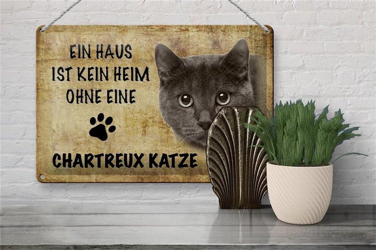Blechschild Spruch 30x20cm Chartreux Katze ohne kein Heim
