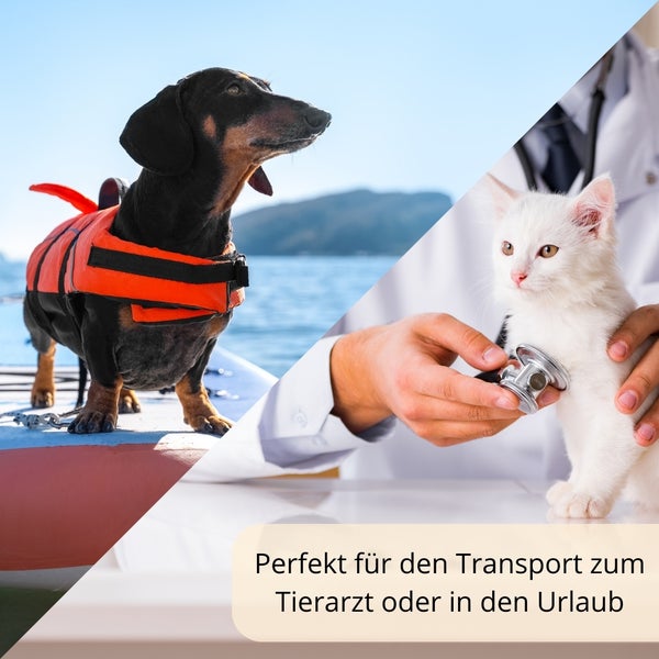 Transportbox Hunde Katzen Kaninchen Transport Auto Box Korb Hundebox Katzenbox extra viele Luftschlitze sicheres Schloss