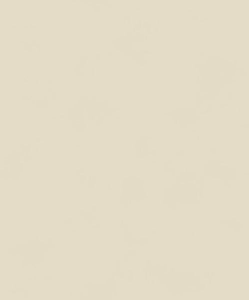 Toilettendeckel mit Absenkautomatik