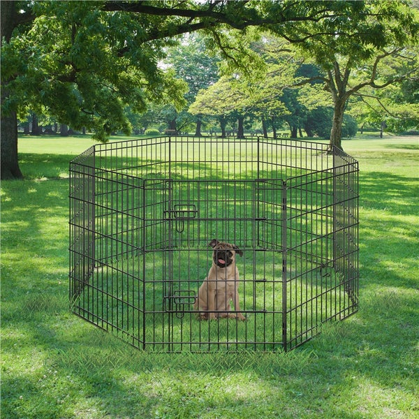 Hund in einem achteckigen Hundeauslaufgitter im Freien