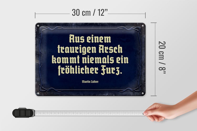 Blechschild Spruch 30x20cm aus einem traurigen Arsch kommt