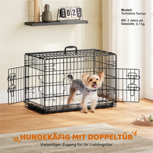 Schwarzer Hundekäfig mit Doppeltür und Yorkshire Terrier