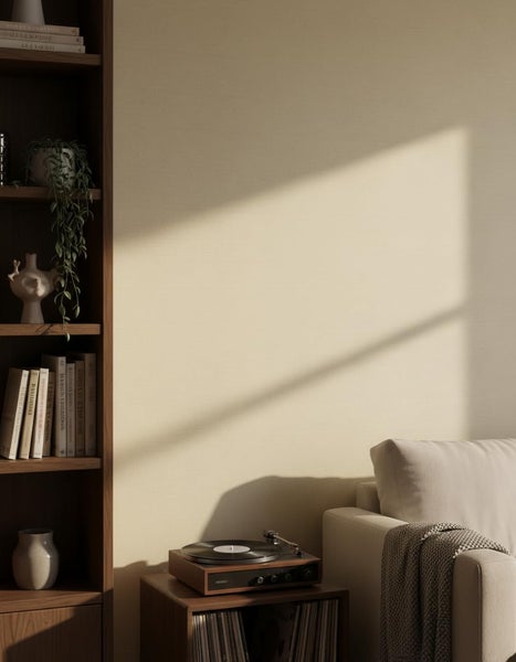 Ein Wohnzimmer mit einer hellen Wand, einem Holzregal mit Büchern und Pflanzen sowie einem Plattenspieler auf einem kleinen Holzschrank.