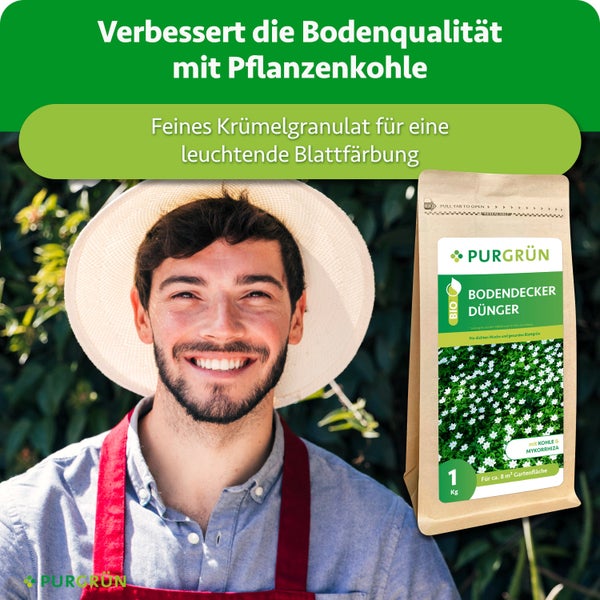 Ein glücklicher Gärtner neben einer Packung Purgrün Bodendecker Dünger mit Pflanzenkohle und Mykorrhiza für einen dichten Wuchs.