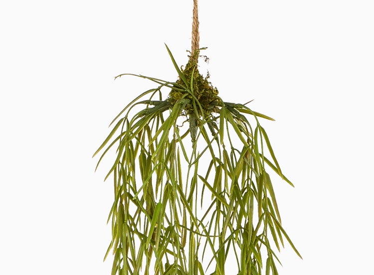 Künstliche Hängepflanze mit schmalen grünen Blättern in Bambusoptik.