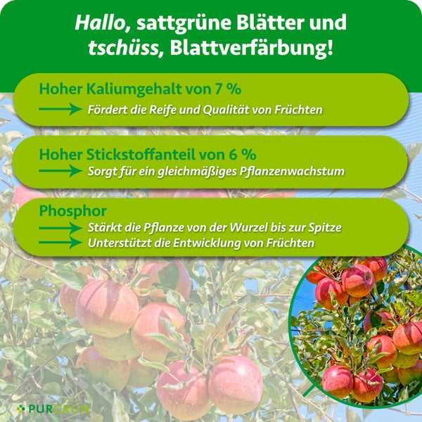 Infografik zum Purgruen Obstduenger mit Angaben zu Kalium, Stickstoff und Phosphor sowie deren Wirkung auf Pflanzenwachstum und Fruchtreife.