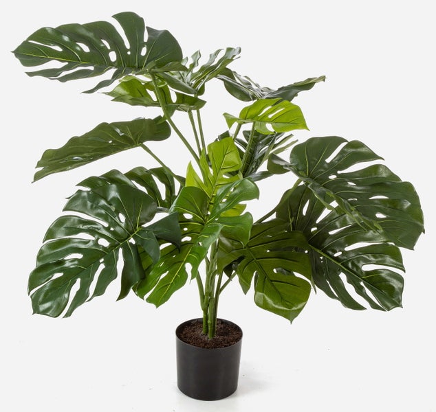 Künstliche Monstera Pflanze im schwarzen Topf mit großen grünen gefensterten Blättern.
