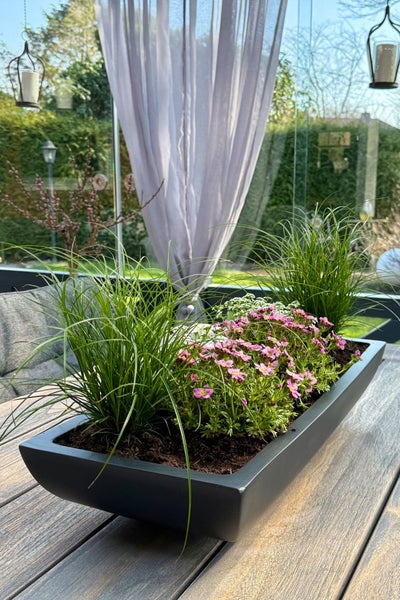 Rechteckiger dunkelgrauer Pflanzkasten auf einem Holztisch, bepflanzt mit rosa Blumen und Ziergras auf einer hellen Terrasse.