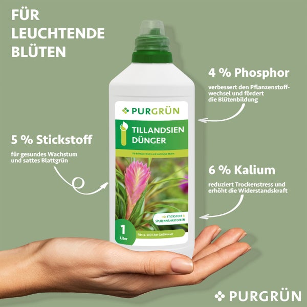 Purgrün Tillandsien-Dünger 1 Liter