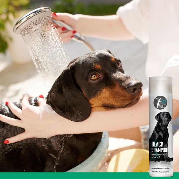 Black Shampoo für Hunde – Mit Provitamin B5 & Vitamin E – Pflegeshampoo für dunkles Hundefell – Sanfte Reinigung & Revitalisierung – Für glänzendes, gesundes Fell – 250 ml