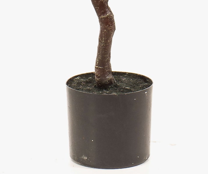 Nahaufnahme eines braunen Pflanzenstamms in einem schlichten schwarzen Kunststofftopf mit dunkler Erde.