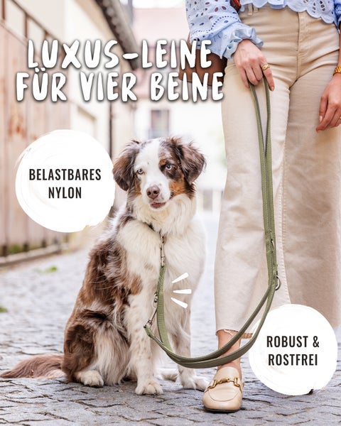 Frau mit Border Collie an einer 230 Zentimeter langen und 2 Zentimeter breiten Hundeleine