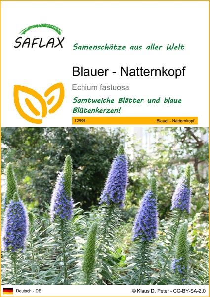 SAFLAX  - Blauer - Natternkopf - Echium fastuosa - 100 Samen