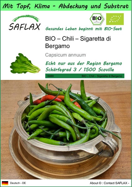 SAFLAX Garden to go - BIO – Chili – Sigaretta di Bergamo - Capsicum annuum - 10 Samen - Mit Topf, Klima - Deckel und Anzuchtsubstrat