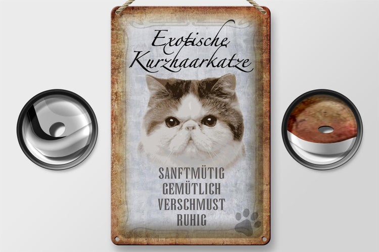 Blechschild Spruch 20x30cm exotische Kurzhaarkatze Katze