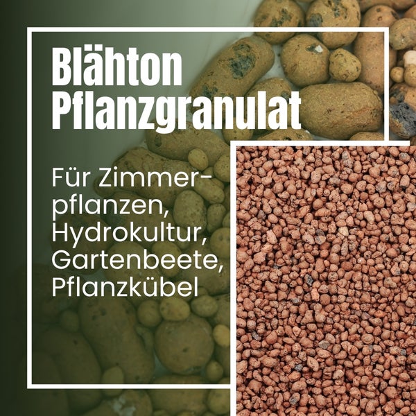 Blähton Pflanzgranulat für Zimmerpflanzen, Hydrokultur, Gartenbeete und Pflanzkübel.