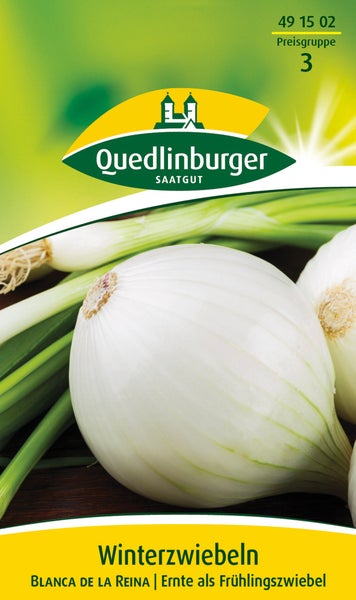 Rückseite einer Samentüte für Winterzwiebeln Blanca de la Reina, Allium Cepa, mit Infos zu Aussaat, Keimung und Ernte. Reicht für circa 3 Meter.