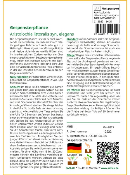 SAFLAX  - Gespensterpflanze - Aristolochia littoralis syn. elegans - 80 Samen - Mit keimfreiem Anzuchtsubstrat