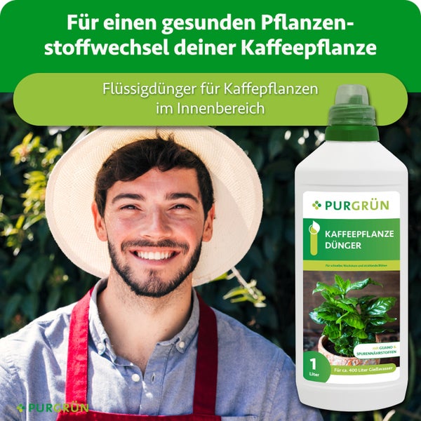 Purgrün Flüssigdünger für Kaffeepflanzen in der 1 Liter Flasche mit Guano und Spurennährstoffen für gesundes Pflanzenwachstum.