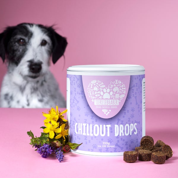 Chillout Drops - Funktionssnack und Nahrungsergänzung für Hunde - 350g