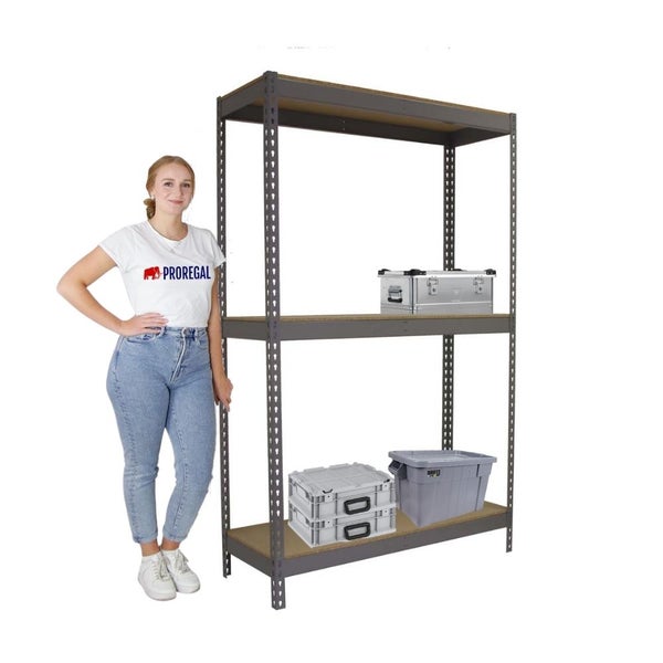 PROREGAL Schwerlastregal Wood Beast Three HxBxT 200 x 180 x 90 cm 3 Ebenen Fachlast 600 kg Grau