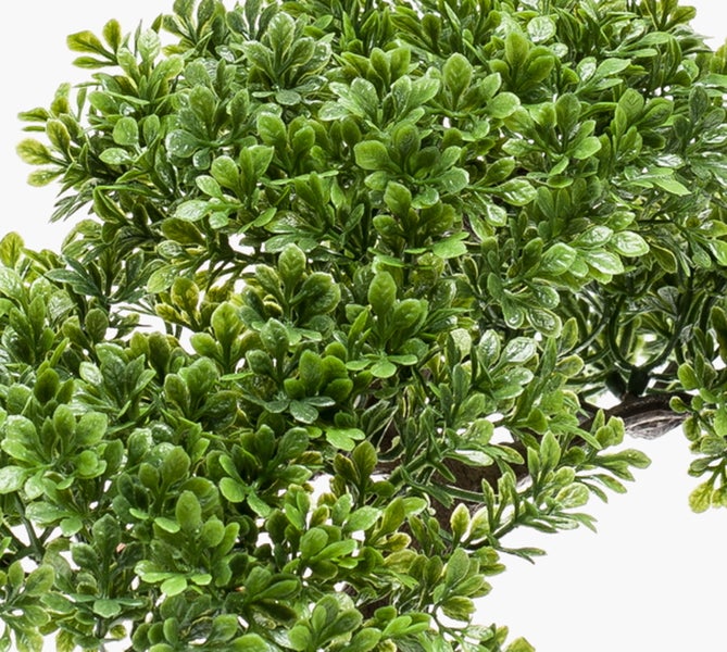 Detailansicht von künstlichen Buchsbaumzweigen mit kleinen grünen Blättern.