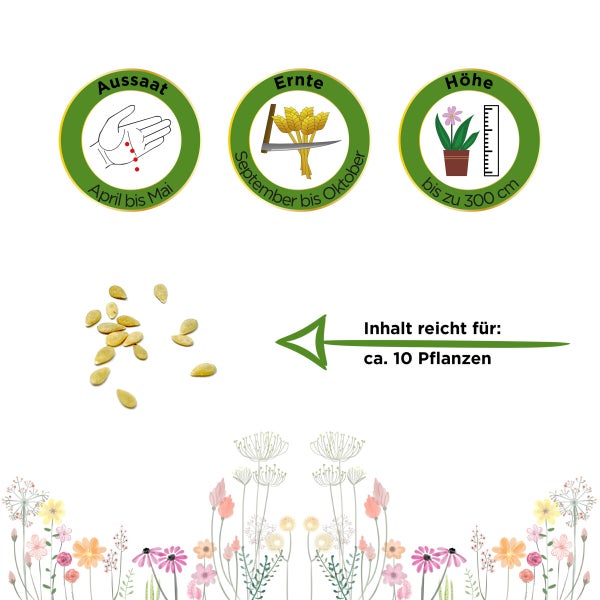 Mexikanische Minigurke Samen von Deine Gartenwelt
