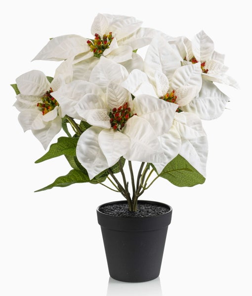 Künstlicher Weihnachtsstern in einem schwarzen Topf mit weißen Blüten und grünen Blättern.