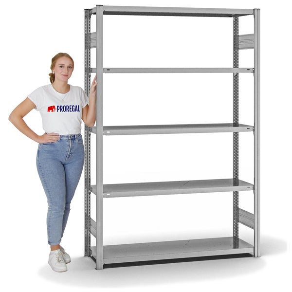 PROREGAL Fachbodenregal Stecksystem T-Profil Medium-Duty Grundregal HxBxT 200 x 130 x 40 cm 5 Ebenen Fachlast 215 kg Beidseitig Nutzbar Verzinkt