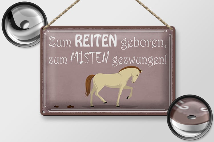 Blechschild Spruch 30x20cm zum Reiten geboren Pferd