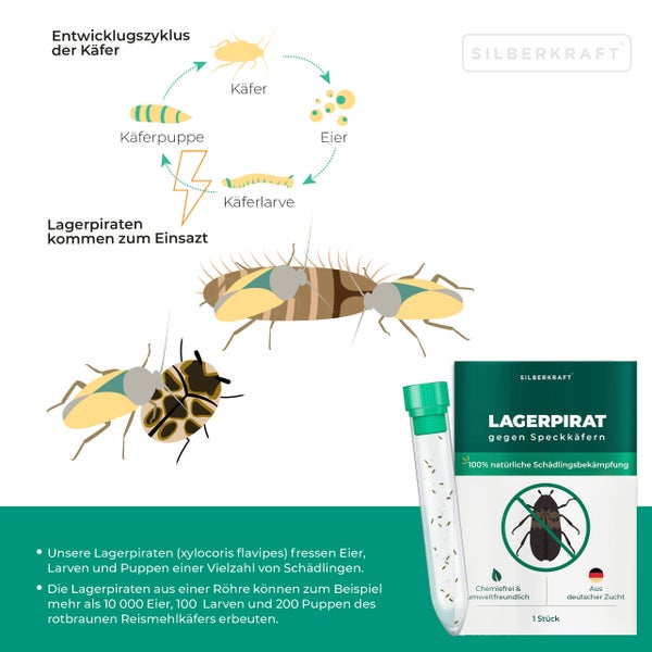 Silberkraft Logo, Lagerpirat gegen Speckkäfer, Infografik zum Käfer-Entwicklungszyklus, natürliche und chemiefreie Schädlingsbekämpfung.