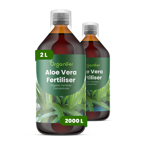 Zwei Flaschen Organifer Aloe Vera Dünger, organisches Düngerkonzentrat, 2 Liter für bis zu 2000 Liter Gießwasser.