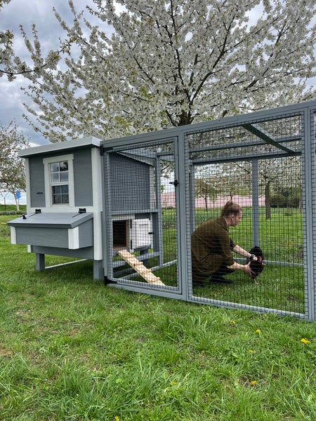 Hühnerauslauf Mitte EZ Chicken Home Grau 5,84m² 208 x 300 x 154 cm hergestellt in EU
