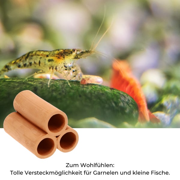 Tonröhren als Versteckmöglichkeit für Garnelen im Aquarium