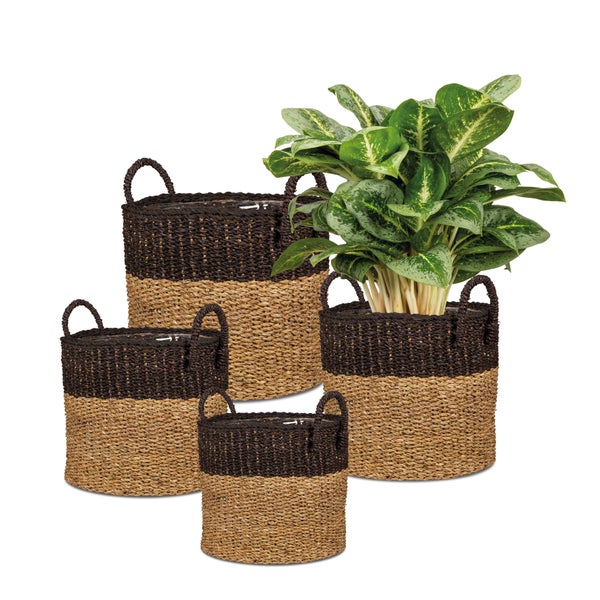 Scheurich Seagrass 27, Korbgefäß/Korb-Pflanzgefäß/Korbtopf mit Griffen aus Seagrass Farbe: Nut Brown, 28 cm Durchmesser, 24 cm hoch, 13,1 l Vol.