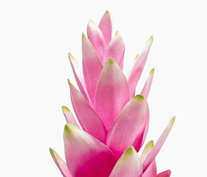 Künstliche Palme mit grünen Blättern in einem dunklen Kunststofftopf.