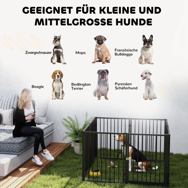 Szene mit einer Frau, die auf einer Bank sitzt, und verschiedenen kleinen bis mittelgroßen Hunderassen wie Zwergschnauzer, Mops und Französische Bulldogge, sowie ein Hundegitter mit einem Beagle darin