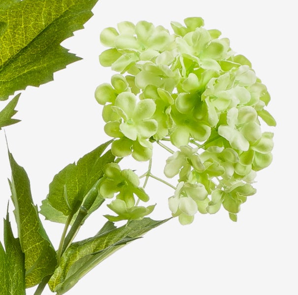 Nahaufnahme eines künstlichen Zweiges mit gezackten grünen Blättern und kleinen grünen Blüten.